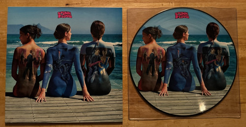Picture disc lp pink - picture,