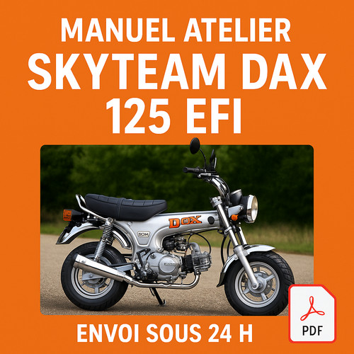 Manuel atelier skyteam dax 125 - atelier,