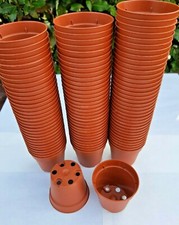 Vasi plastica x - plastica, 5