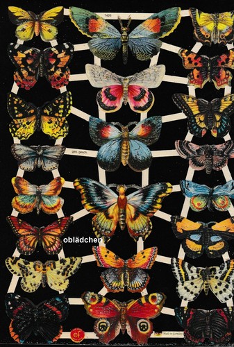 Immagini lucide ef - lucide, 7426