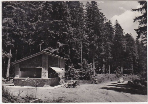 Foresta campigna forli - foresta,