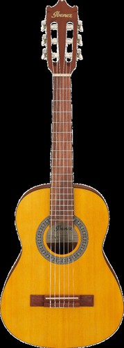 Ibanez ga1oam open - open, amber