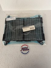 Protezione Griglia Radiatore