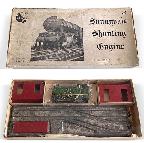 Pista trenino sunnyvale - pista,