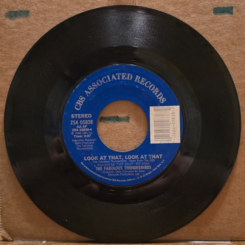 The fabulous thunderbirds - the,