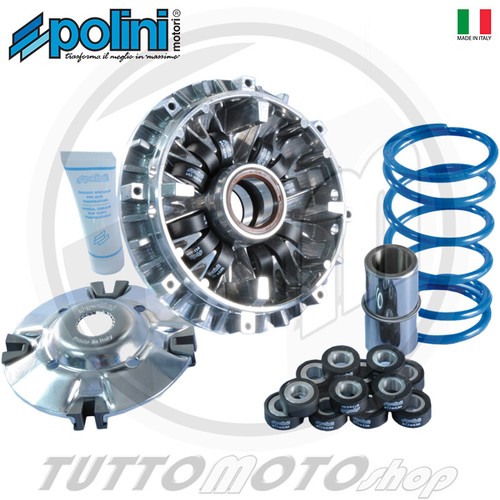 Variatore polini speed 12 - polini,