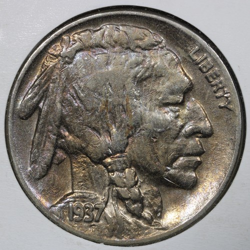 1937 bufalo zampe - a, nichel