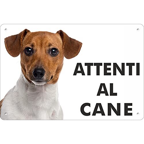 Pubblimania jack russell - jack,