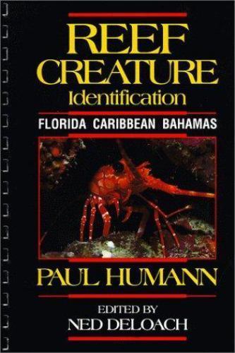 Reef creature identification - reef,