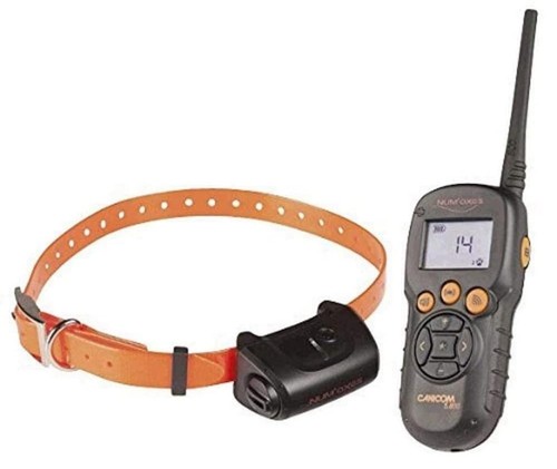 Ensemble dressage pour - de,