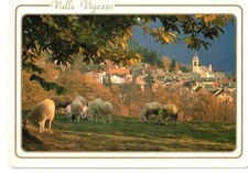 Toceno (VB)  Panorama con Gregge Pecore, Vue avec Troupeau de Moutons, 2 cart.