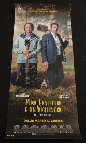 Mio fratello vichingo - mio,