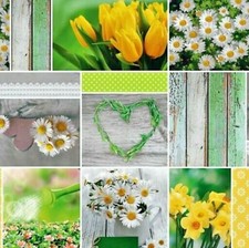 Tela Cerata Tovaglia Pasqua