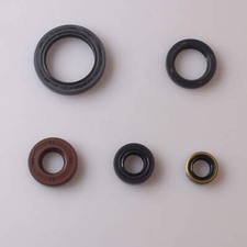 Set paraolio motore per