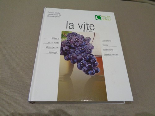 Vite vino botanica - vite,