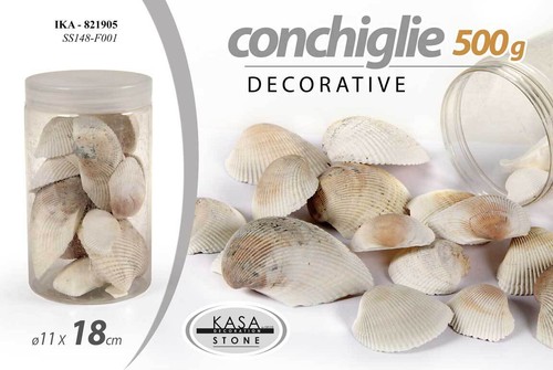Conchiglie marine decorative - conchiglie,
