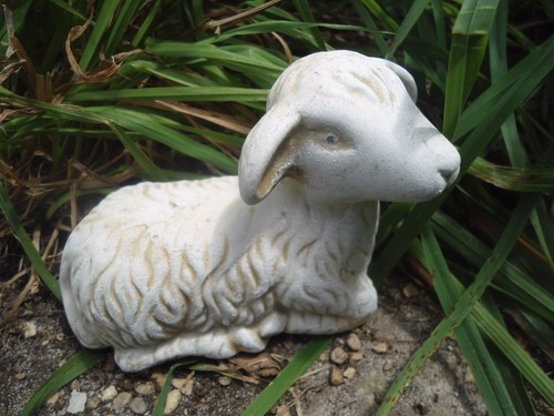 Stampo lattice agnello - stampo,