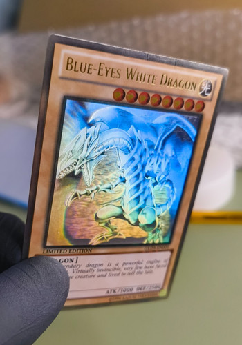 Blue eyes white - blue-eyes,