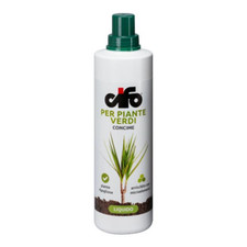 Cifo piante verdi concime - piante,