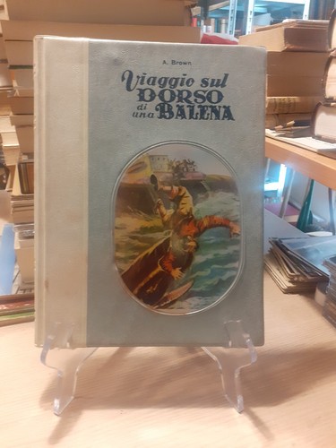 Brown viaggio sul dorso di - sul,
