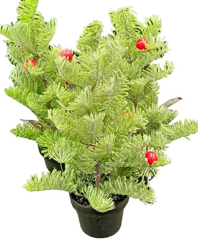 Alberi natale artificiale - di,