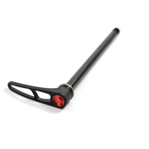 Swiss asse innesto rws - asse,