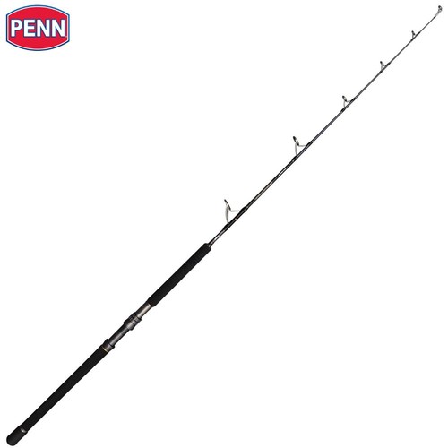 Penn big game canna pesca - penn,