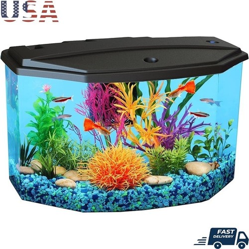 Starter kit acquario galloni - starter,