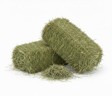 Erba Medica (Alfa Alfa) 10 kg