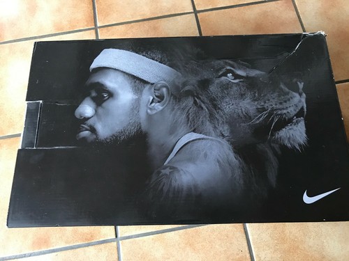 Nike lebron viii - nike,