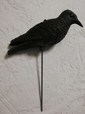 Stampi Caccia Storno Posizione Posata. Richiamo In Plastica