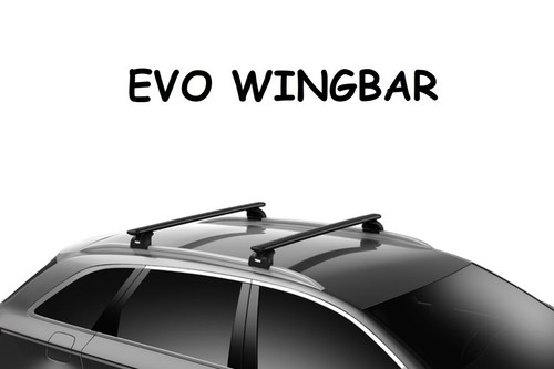 Barre portatutto thule evo - barre,