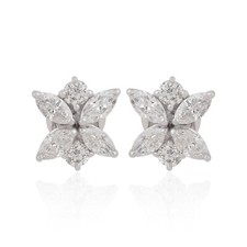 Laboratrio Cresciuta Cvd