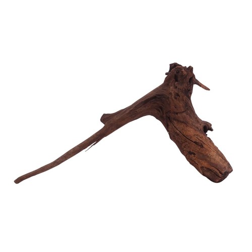 Driftwood flußwurzel radice - flußwurzel,