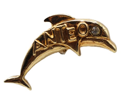 Distintivo spilla pins - distintivo,