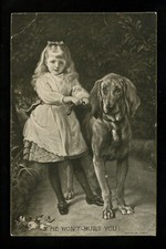 Cartolina cane cucciolo