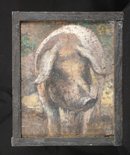 Ritratto suino maiale - ,