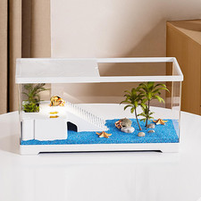 Tartarughe Acquario Con