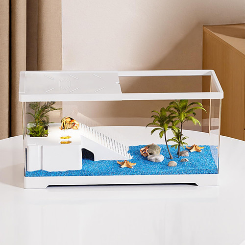 Tartarughe acquario con - tartarughe,