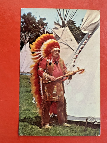 Uomo canadese indigeno - indigeno, nativo