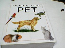 Picking Your Pet