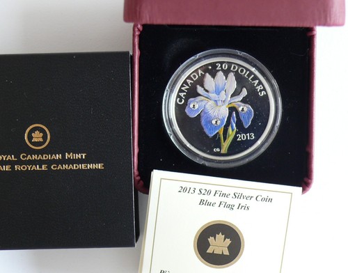 Canada dollari 2013 - 20,