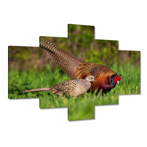 Quadro tela da - quadro,