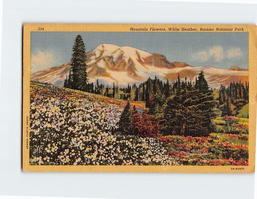 Cartolina fiori montagna - cartolina,