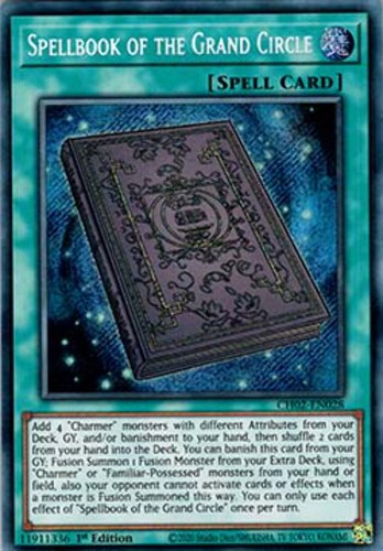 Libro degli incantesimi del - libro,