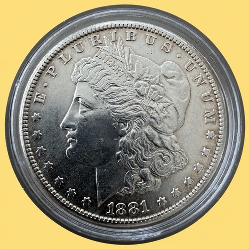 Usa morgan dollar 1881 - usa, 1881-s