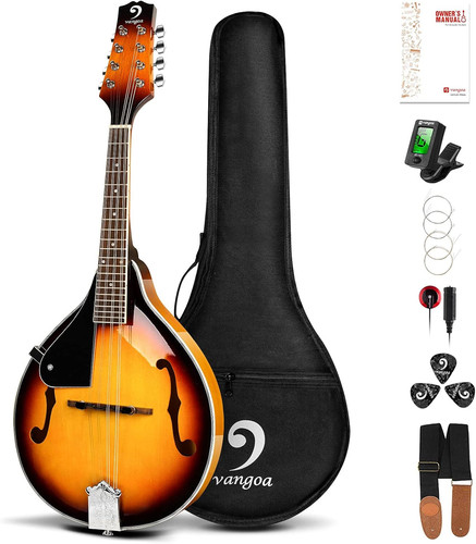 Left handed mandolin musical - mandolin,