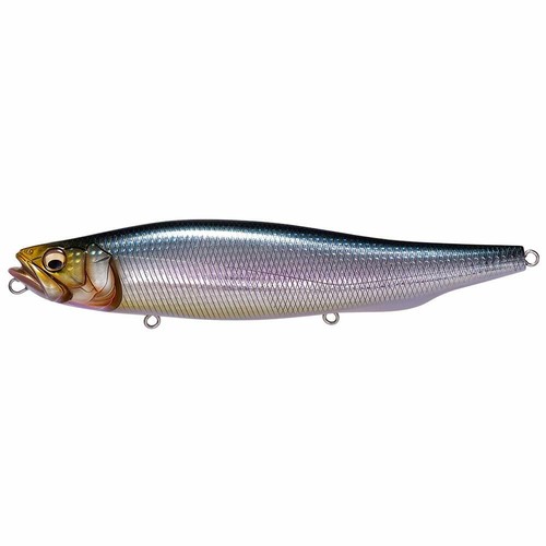 Megabass esca megadog sardine - esca,