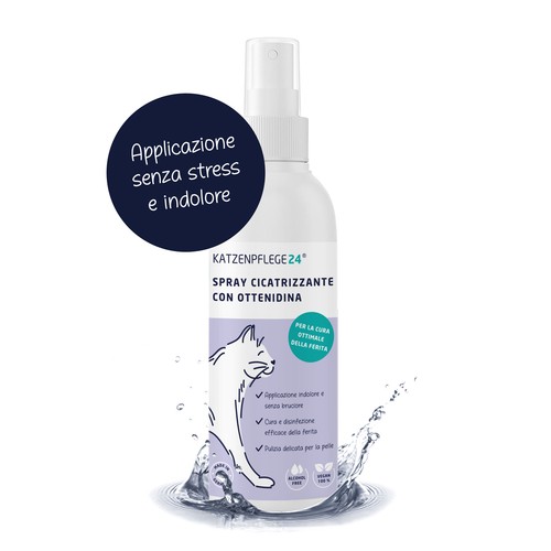 Spray disinfettante - , e