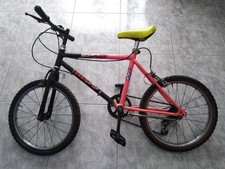 Bicicletta bambino/bambina